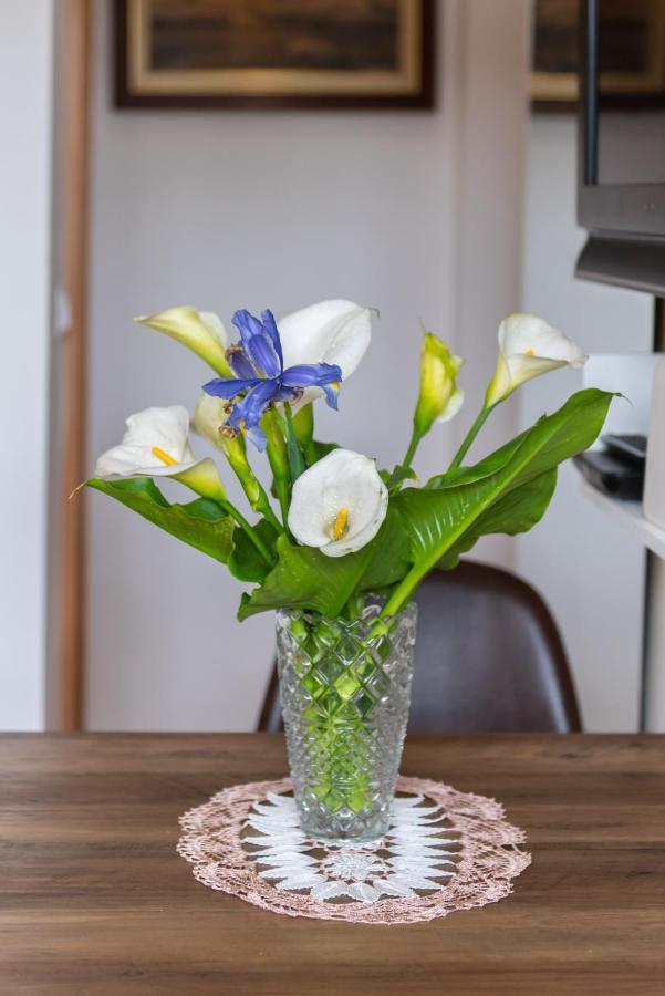 Studio Apartment Vittoria Lovran Zewnętrze zdjęcie